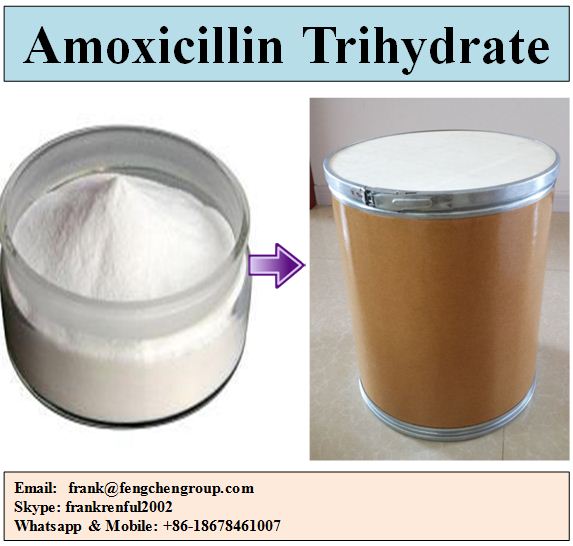 Amoxicillin or Amoxycillin Trihydrate Compacted Powder Micronized.jpg