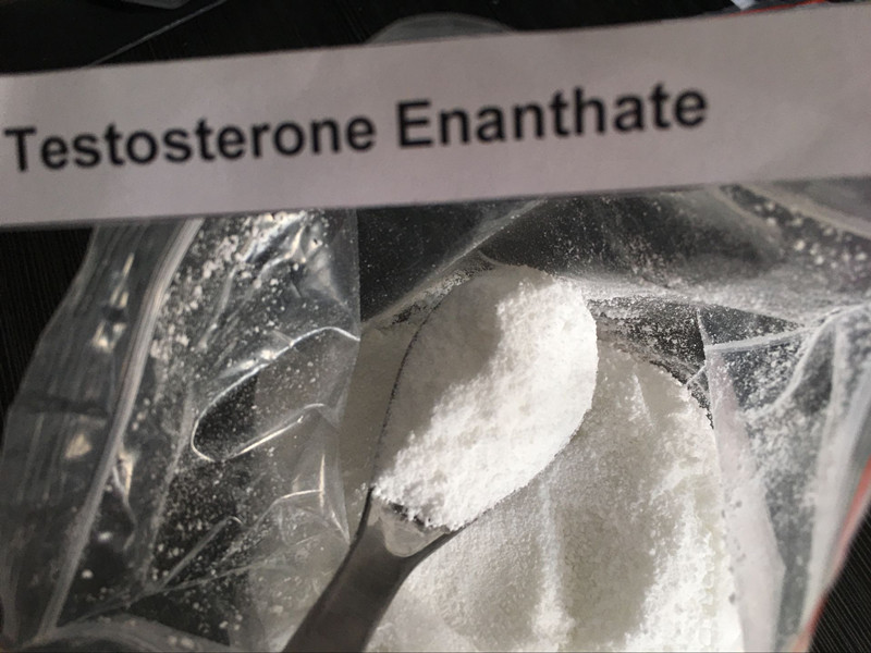 testosterone Enanthate 1_副本.jpg