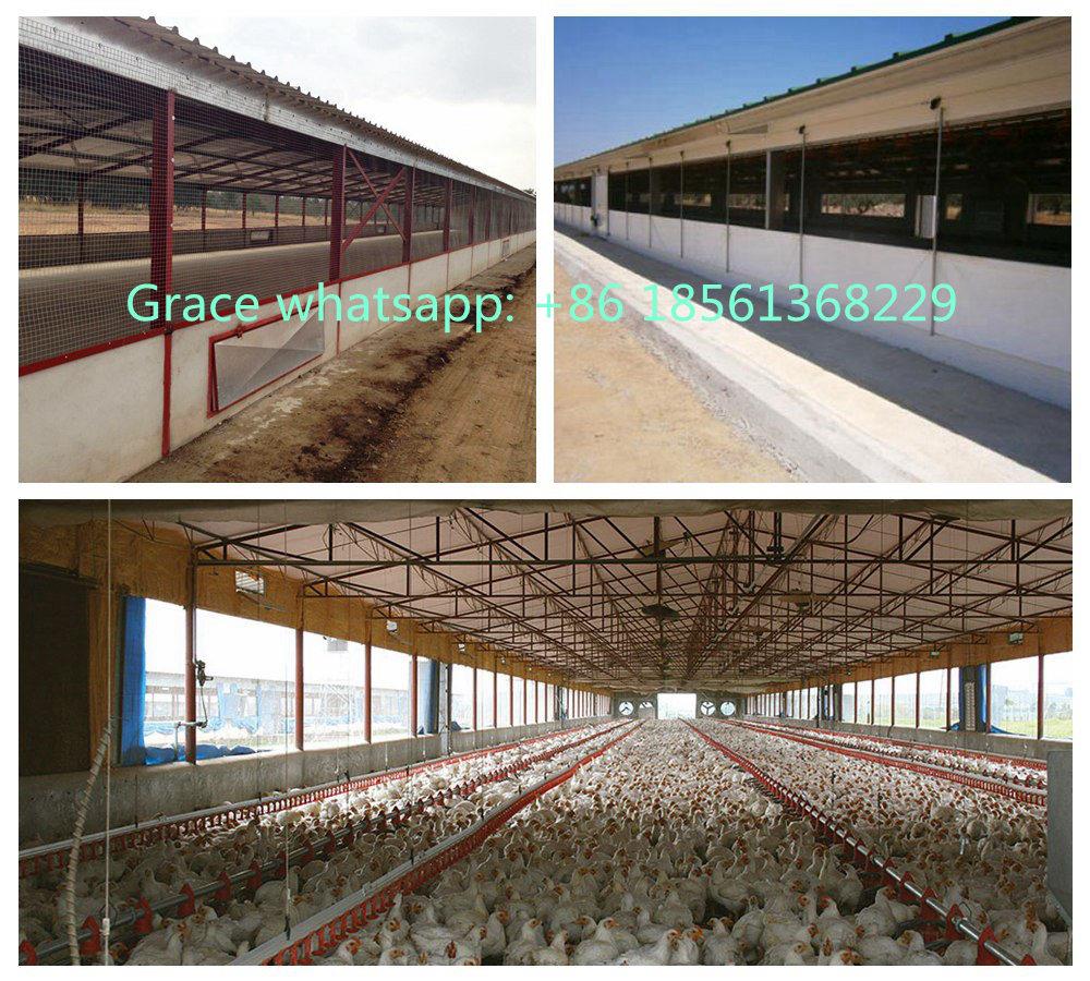 poultry farm machinery17.jpg