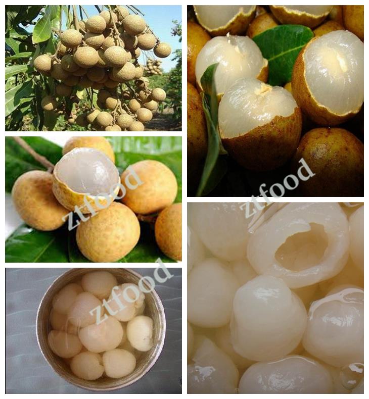 fresh canned fruit canned longan in syrup