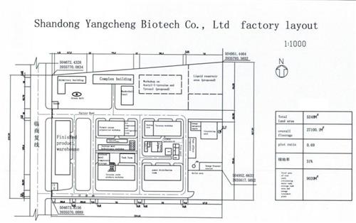 yangcheng factory layout