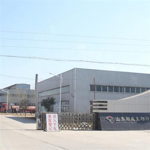 yangcheng factory