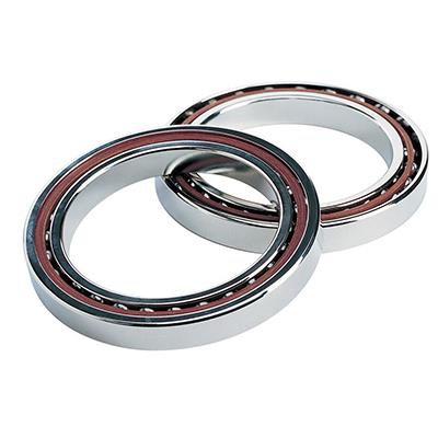four point contact bearing