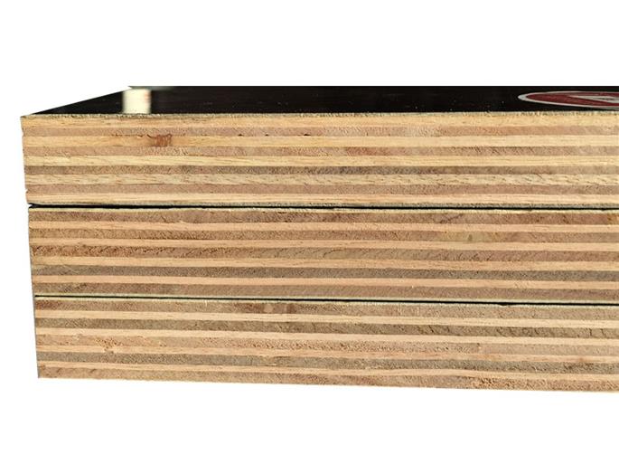 18mm Black Hardwood film faced plywood bunnings.jpg