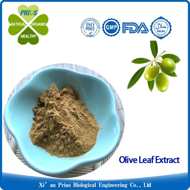 Olive Leaf Extract Antiviral Oleuropein Supplement Health benefits Antiviral Olea Europaea Extract.jpg