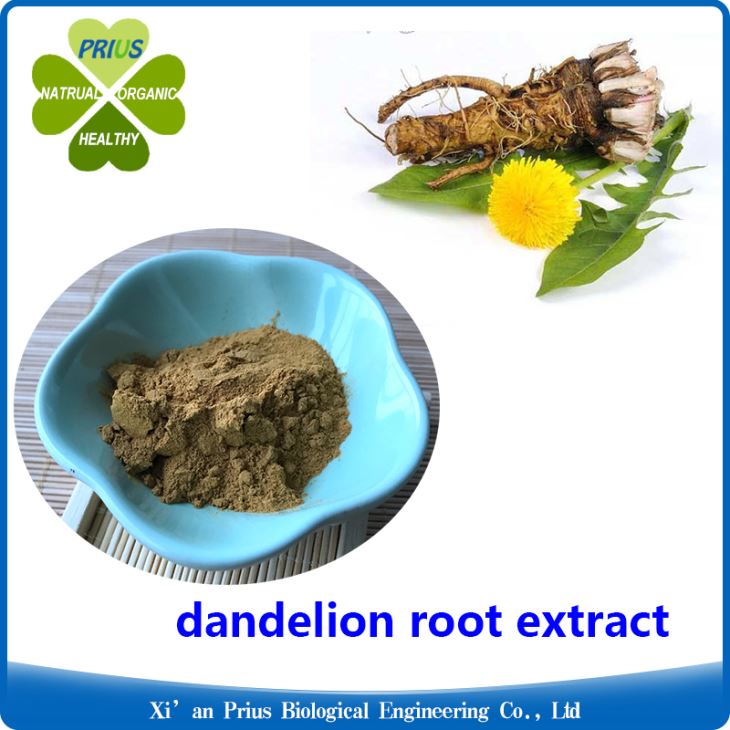 Dandelion Root Extract Powder.jpg