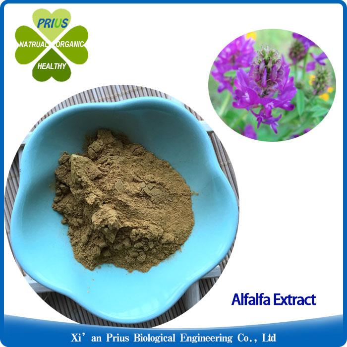 Alfalfa Extract Organic Plant Extract Liver Care Medicago Sativa Extract.jpg