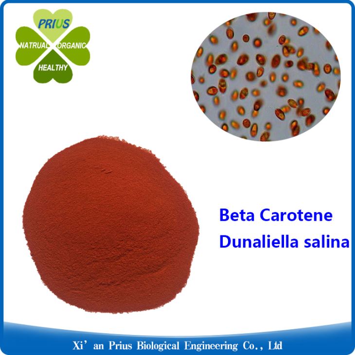 Dunaliella Extract Beta-Carotene Powder.jpg