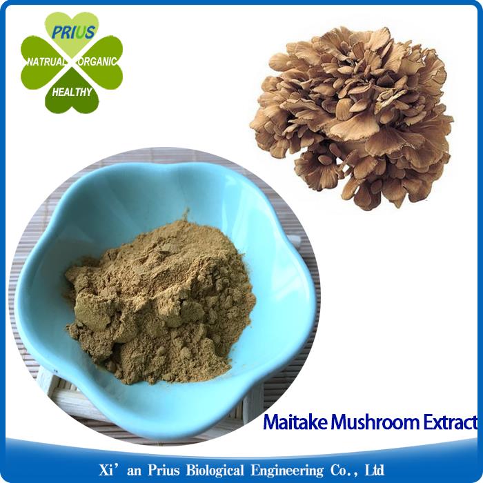Organic Maitake Mushroom Extract Powder For Cancer Treatment.jpg