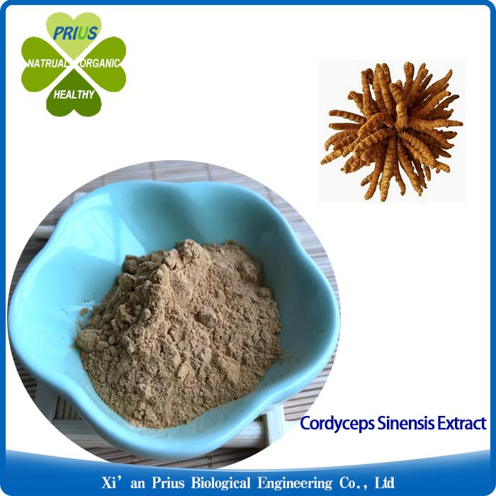 Cordyceps Sinensis Extract Powder  Natural Ingredient  Supplier  Anti-tumor Organic Supplements Cordyceps Extract.jpg