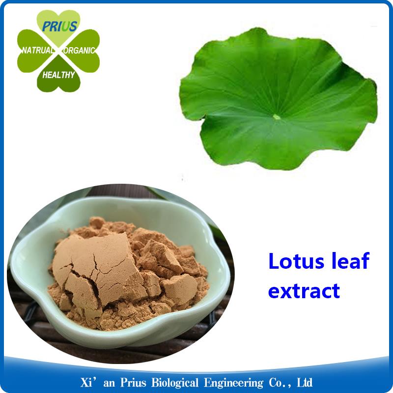 lotus leaf extract.jpg