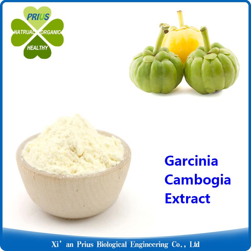 Garcinia Cambogia Extract.jpg