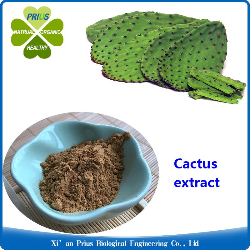 Cactus Extract.jpg