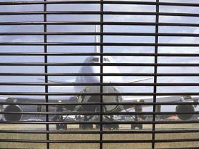 airport high security 358 fence(001).jpg