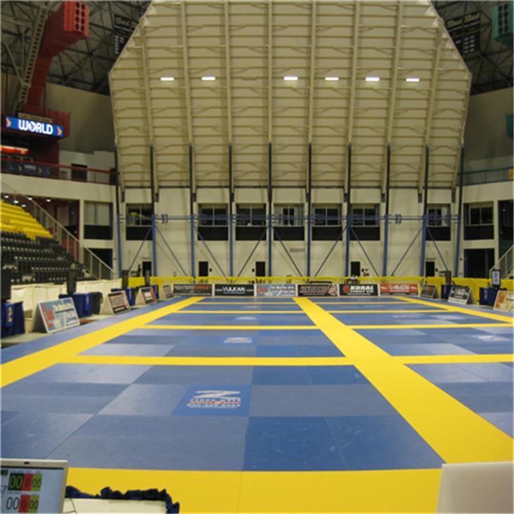 judo mats54.jpg