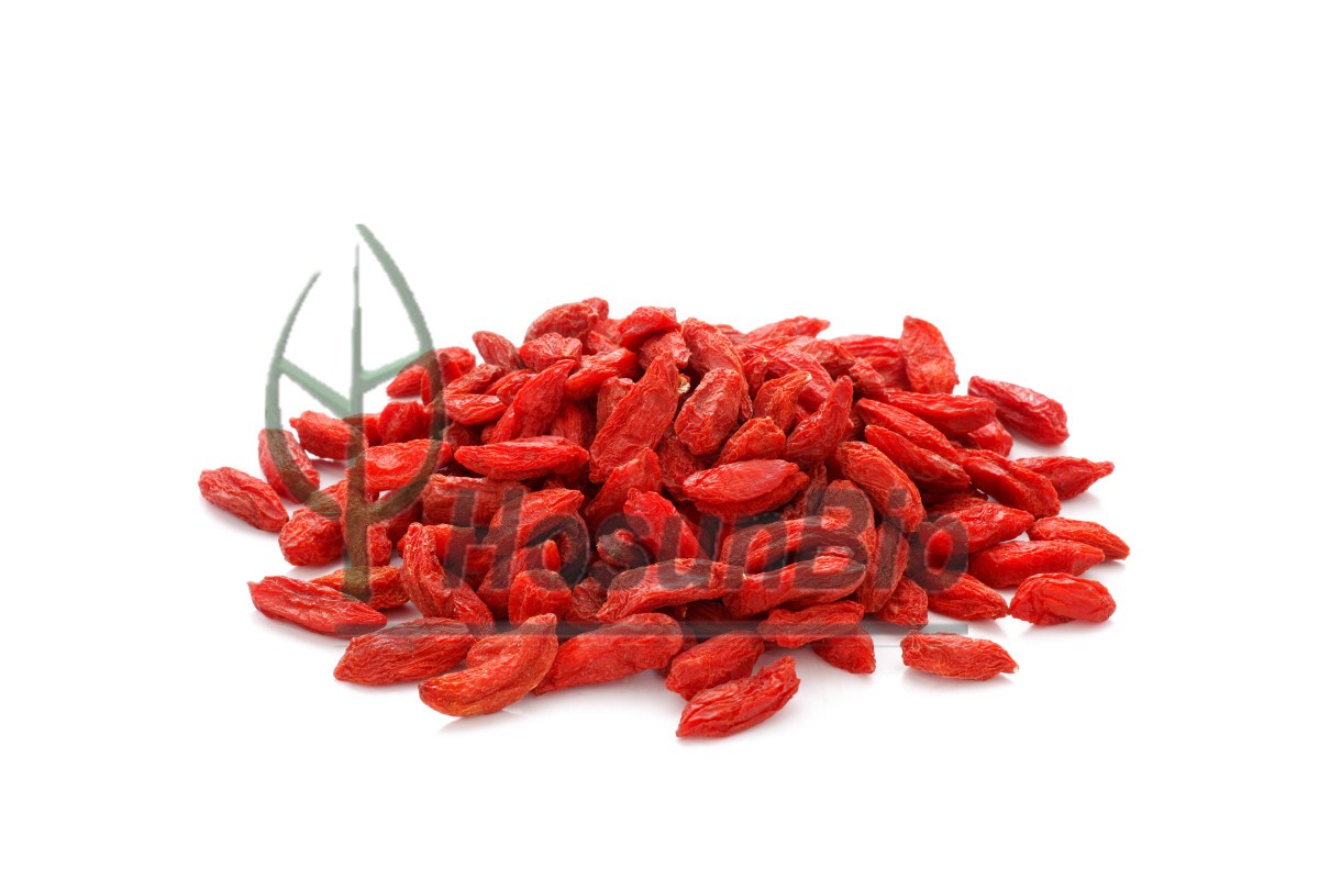 Wolfberry Fruit Extract.jpg