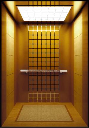 golden mirror residential lift elevator price in china_??.jpg