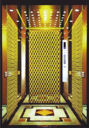 new design luxury hotel elevator lift_??.jpg