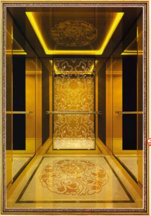 450~1600KG  passenger elevator for restaurant_??.jpg
