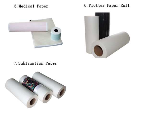 Medical Paper/Plotter Paper Roll/Sublimation Paper