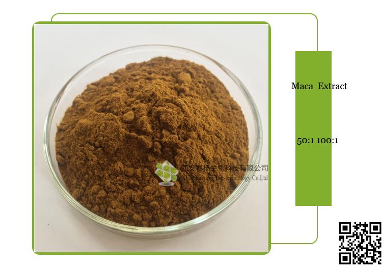 maca root extract powder.jpg