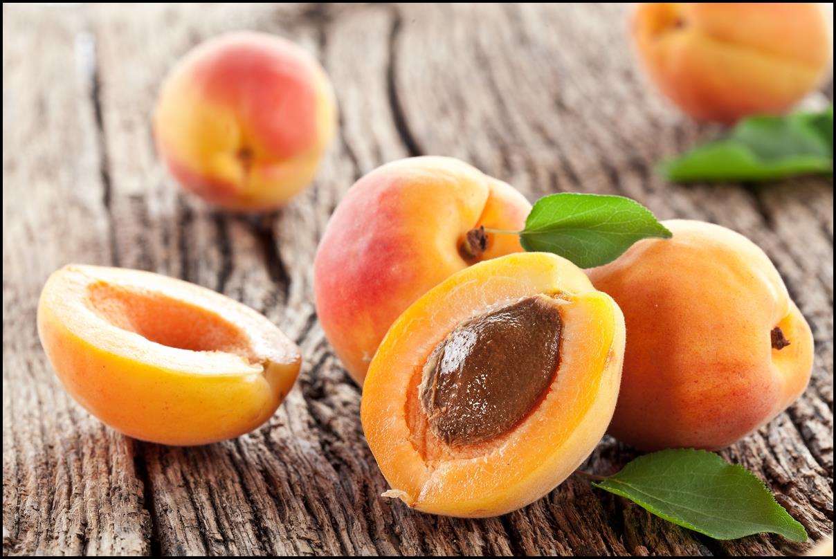 Apricots-2.jpg