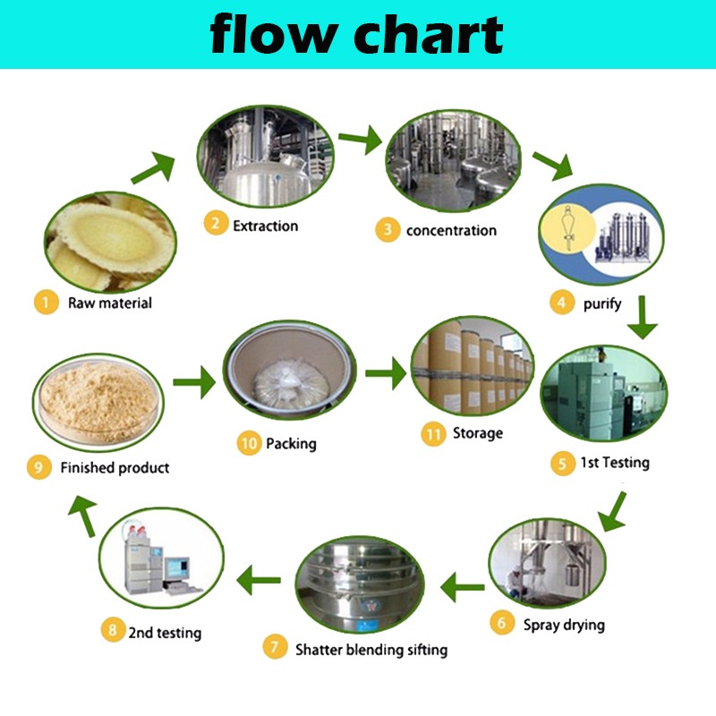 flow chart.jpg