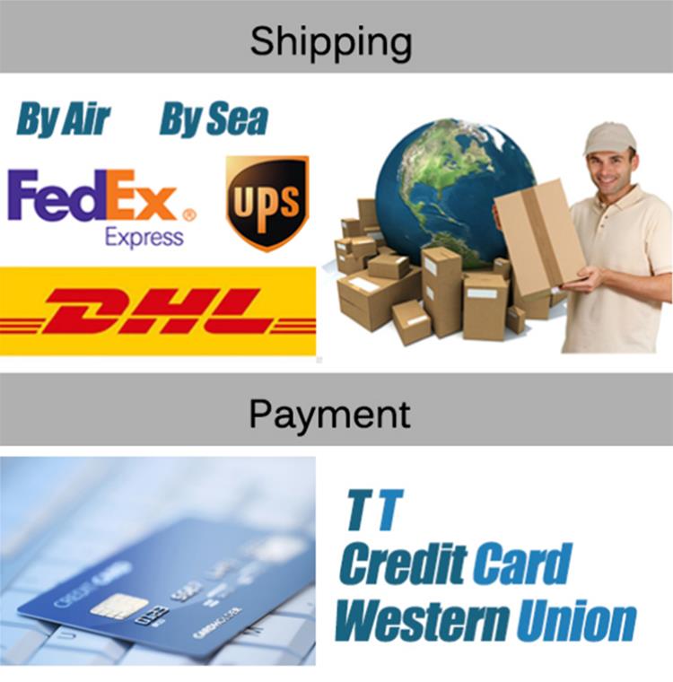 Ship and pay.jpg