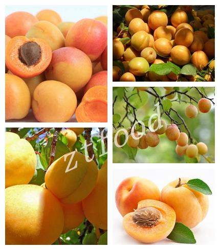 Canned Yellow Apricot In Juice With Organic Apricot In Whole