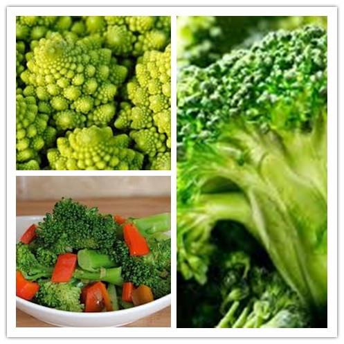Green fresh broccoli.jpg