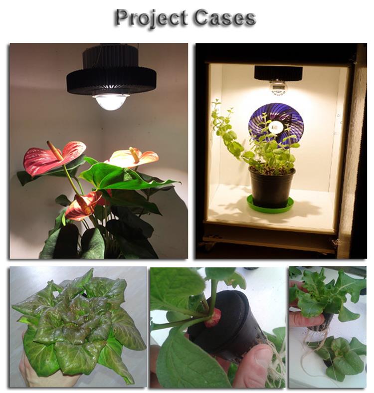 High efficacy new design LED plant grow light IP66 150lmw COB CXB 3590 100W LED Grow Lights