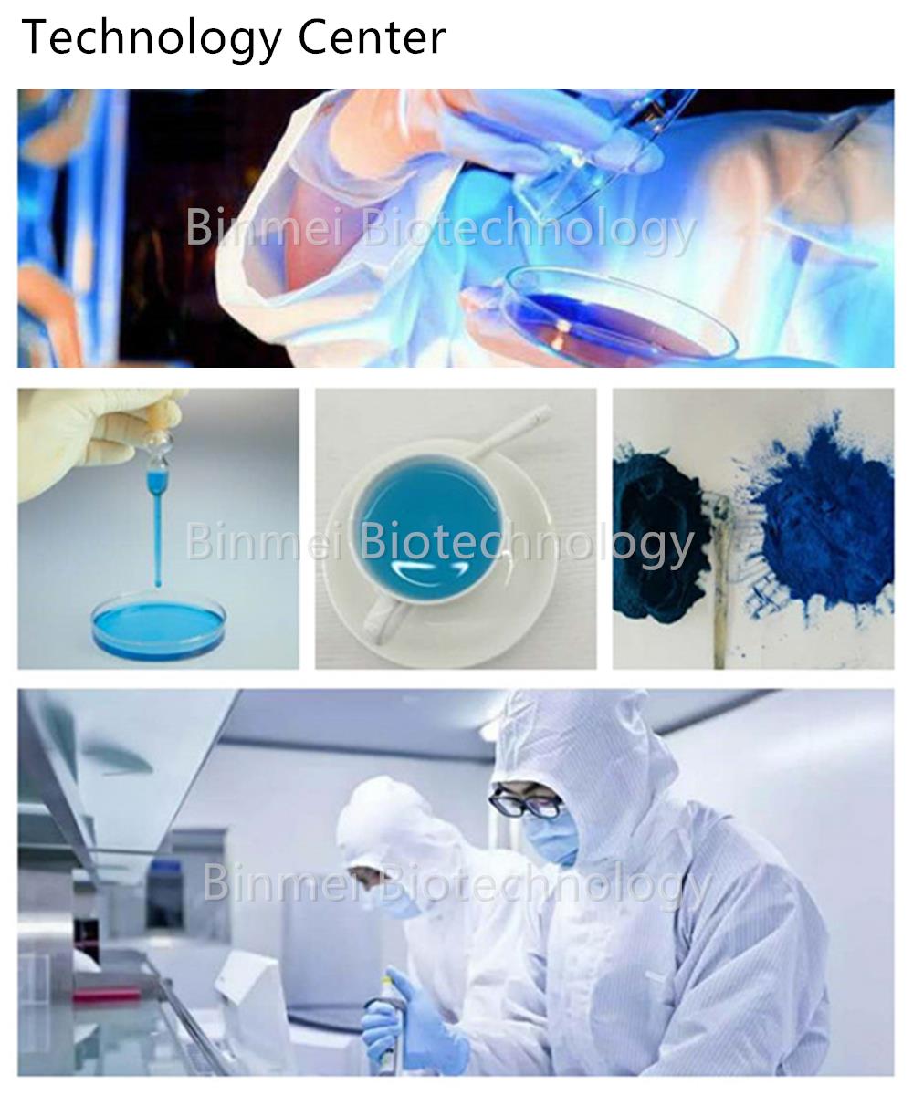 Phycocyanin technology center of Binmei Biotechnology.jpg