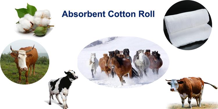 absorbent cotton roll for Animal