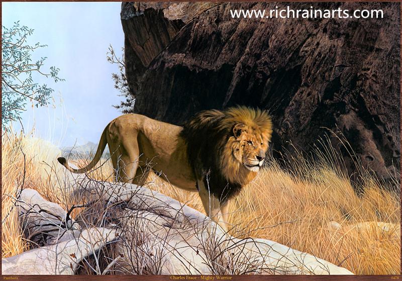 lion animal oil painting supplier.jpg