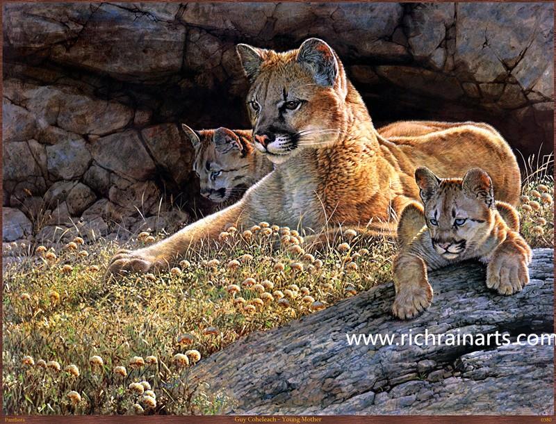 baby lion animal oil painting suppliers.jpg