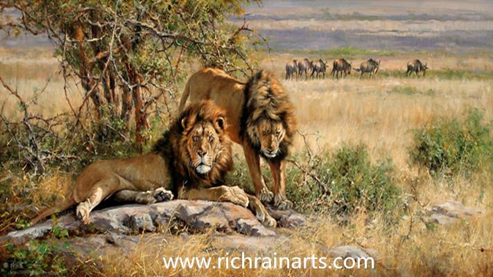 lion animal oil painting sell online.jpg