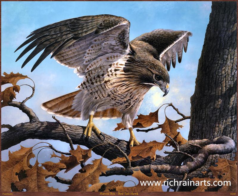 eagle animal oil painting supplier.jpg