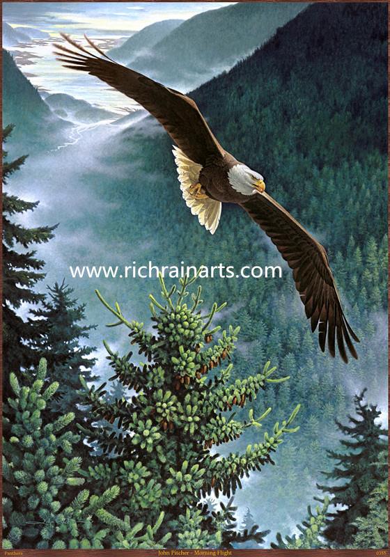 eagle animal oil painting manufacturer.jpg