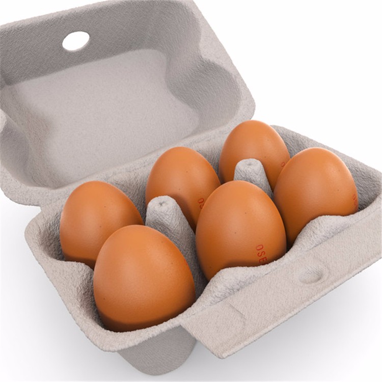 6 Packs Egg Carton Molds.jpg