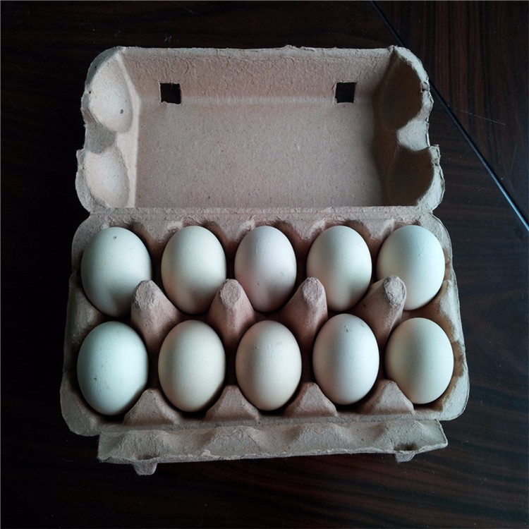 10 Packs Egg Carton Molds.jpg