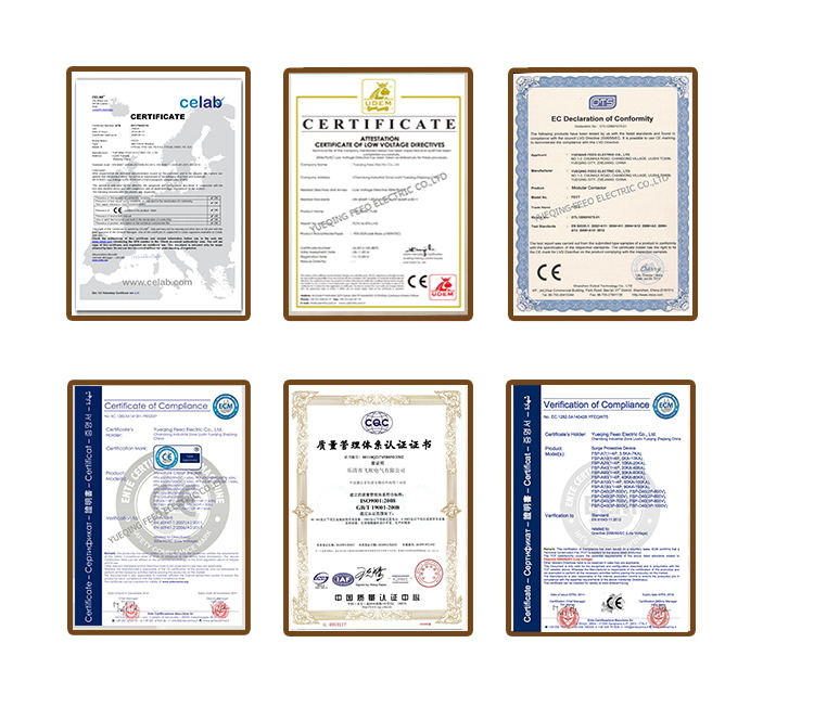 certificate-01-01_???.jpg