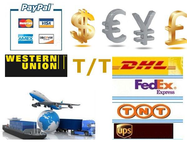 Payment&Transport.jpg