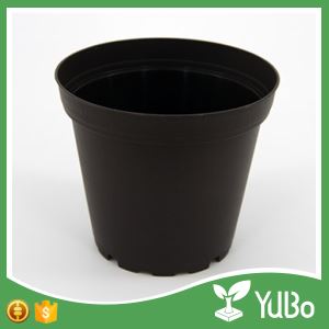 11.1-20.6cm Size Edge Curl Black Plant Pot in Garden Direct Plant pots