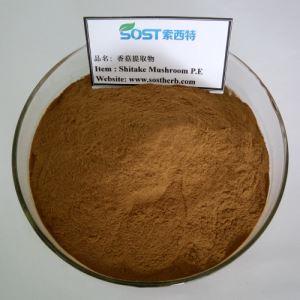 Lentinan Polysaccharide, China Shitake Mushroom Extract Powder