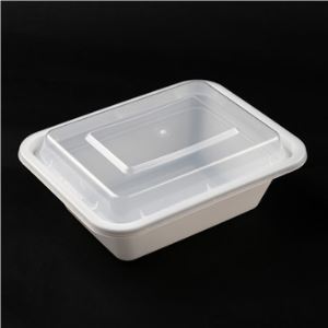 Rectangular Disposable PP5 Plastic Food Container