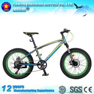20 Inch New Model Popular Fat Mountain and Snow Functions Alloy Bikes MTB with 4.0 Tire