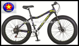 26 Inch Alloy New Stylel 7 Speed Disc Brake Fat Mountain Bike MTB with 4.0 Tire