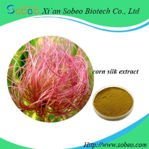 corn silk powder ,pure natural corn silk extract for sale