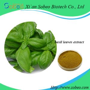 Ocimum Basilicum extract,Natural basil leaves extract powder for sale