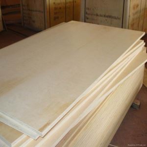 Commercial Plywood Accept Customized